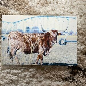 Longhorn Cow Canvas Photo Weatern Wall art decor
